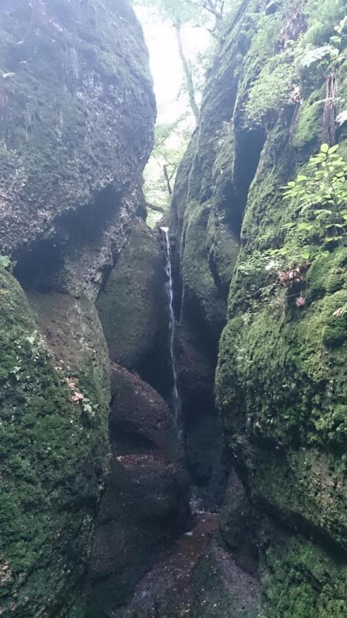 Schoene Aussicht, Wallbox, 70Qm, Kontaktloser Check-In Eisenach Kültér fotó