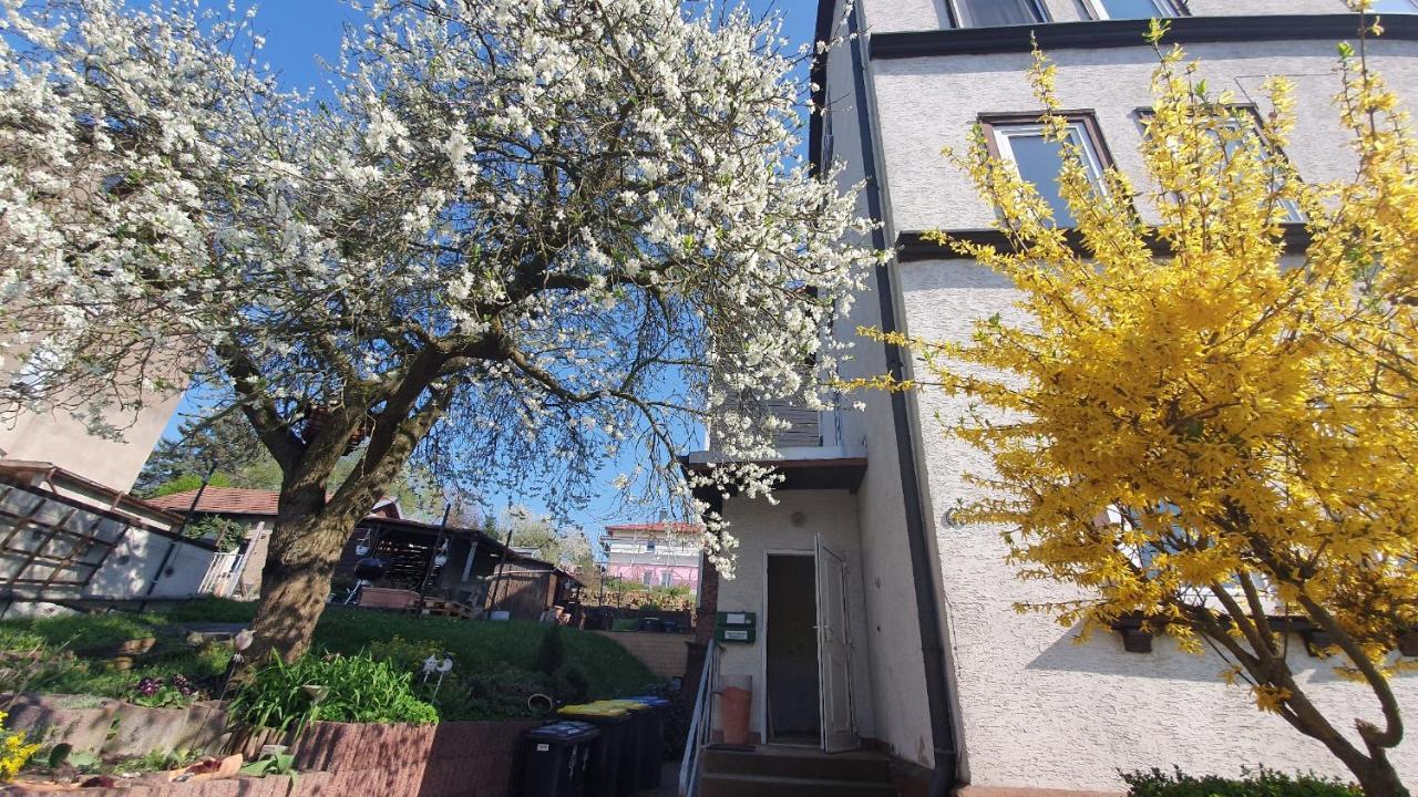 Schoene Aussicht, Wallbox, 70Qm, Kontaktloser Check-In Eisenach Kültér fotó